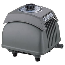 Load image into Gallery viewer, Rosy's Pond Kit