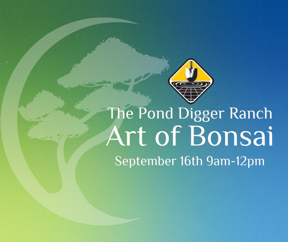 Bonsai Workshop September 2023